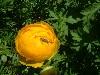 2003_0601_145746AA.jpg